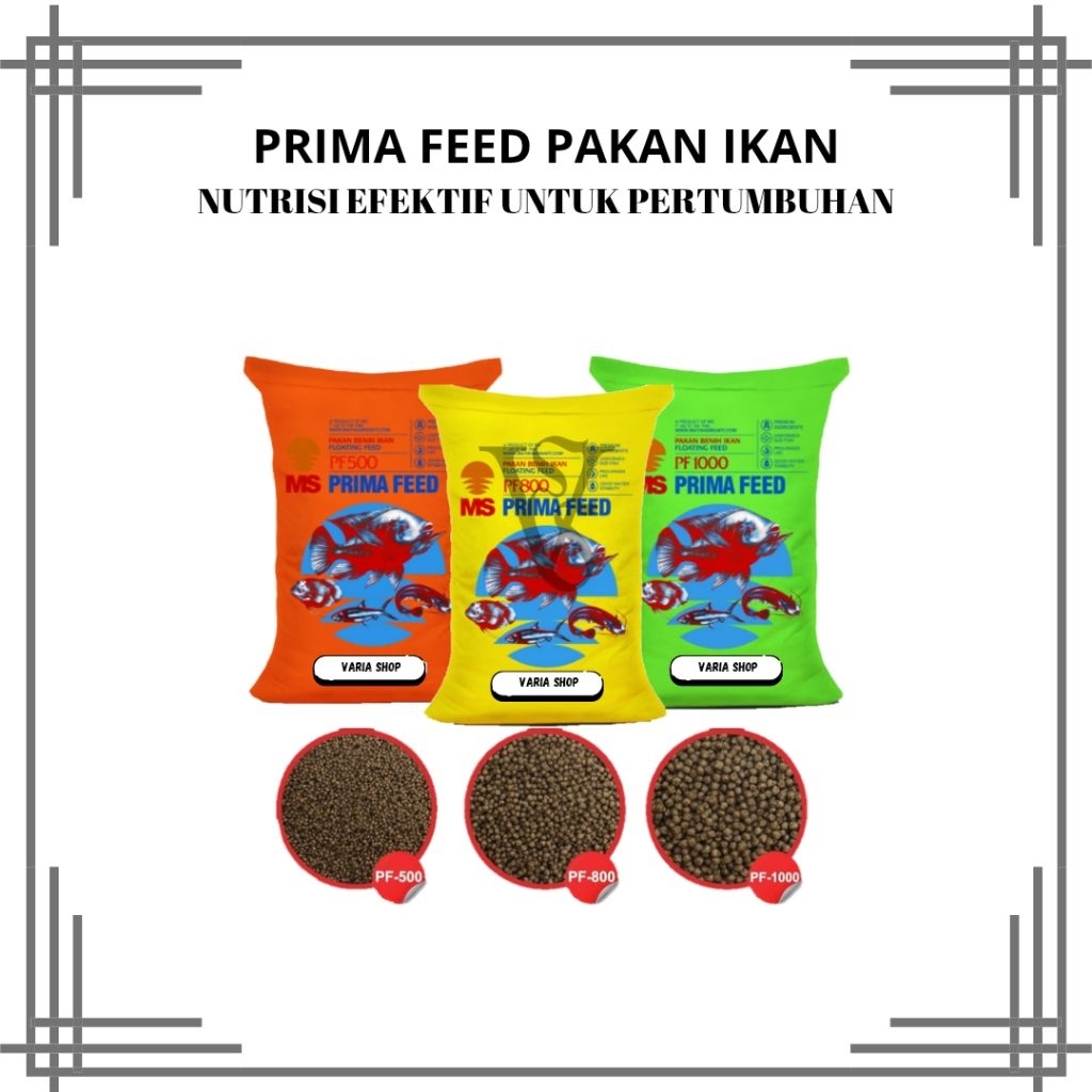 Pakan Ikan PF 500 PF 800 PF 1000 MS pakan ikan bibit burayak PF 500 800 1000 PF pf pakan ikan sinkin