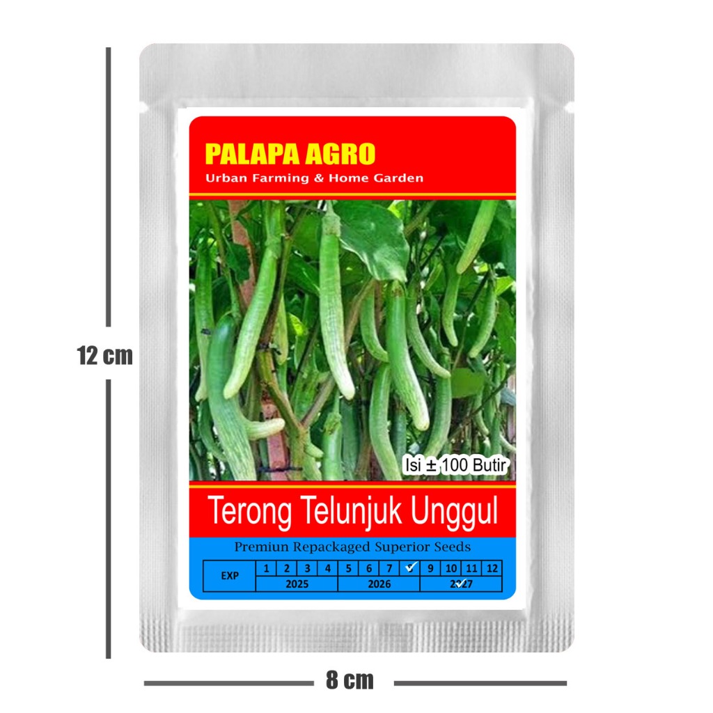 Terong - Benih Bibit Terong Telujuk Jari  Hijau Unggul