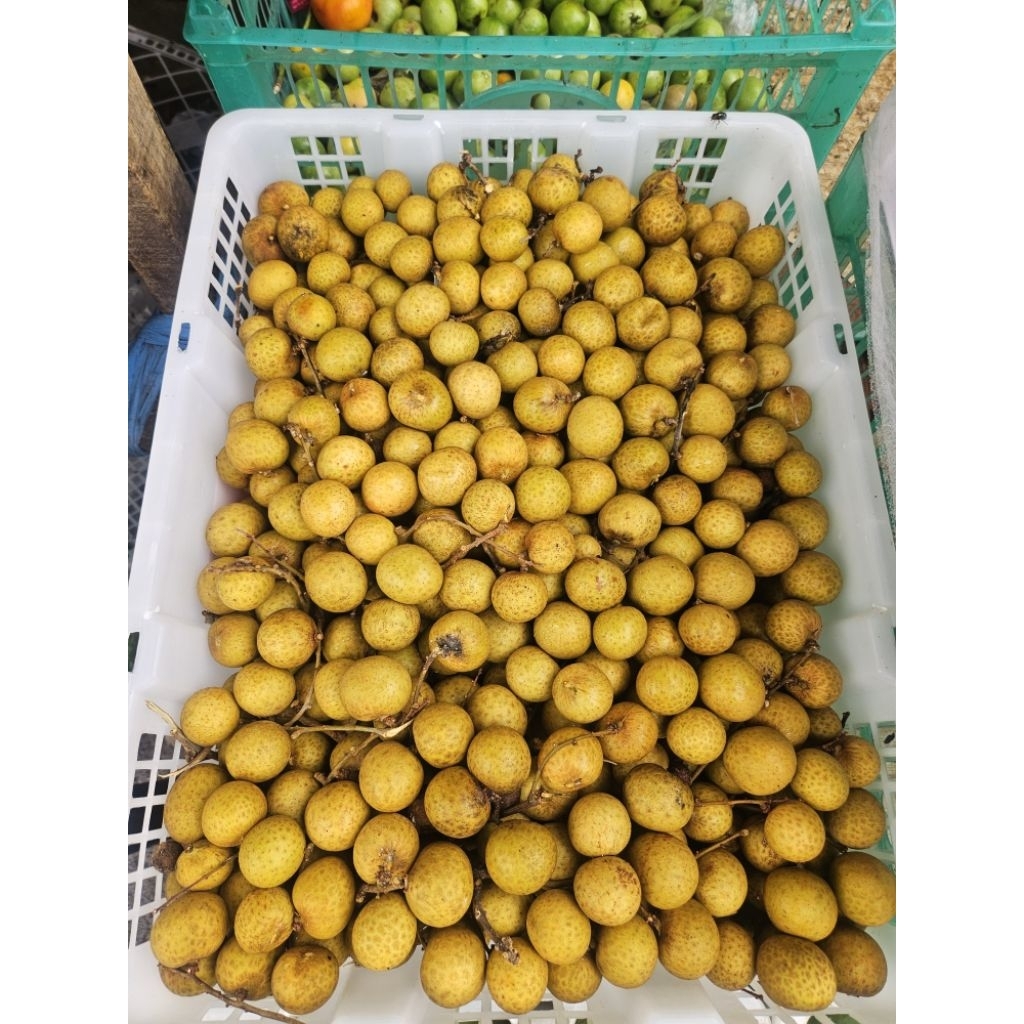 Kelengkeng/Lengkeng - Manis, Segar