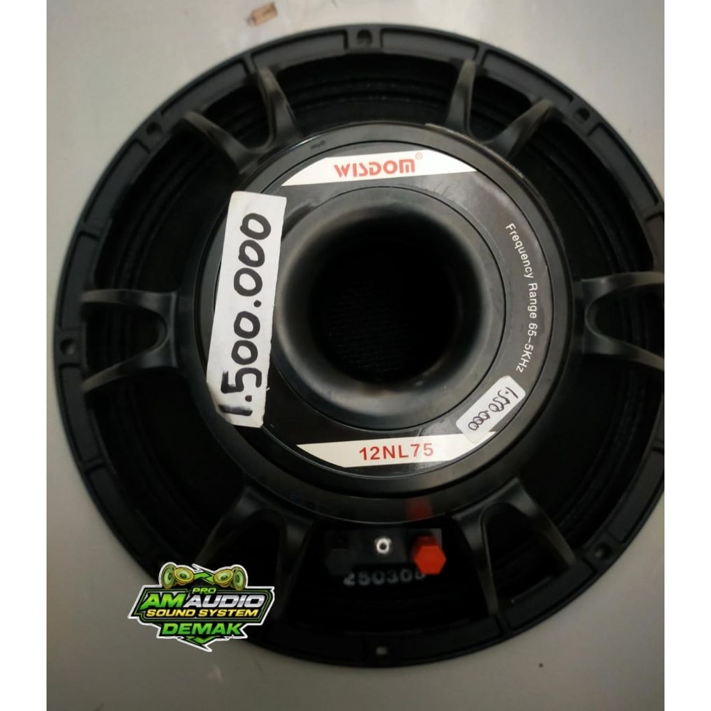 Speaker 12inch WISDOM 12NL75