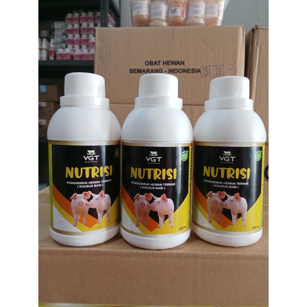 VGT Nutrisi Ternak Babi Probiotik Vitamin Organik Aman untuk Indukan Hamil