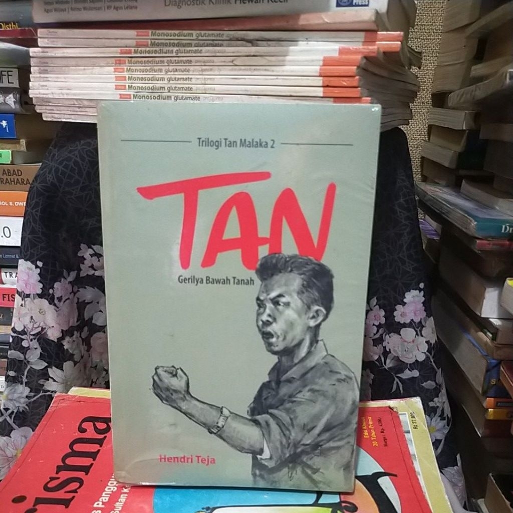 TAN GERILYA BAWAH TANAH - HENDRI TEJA