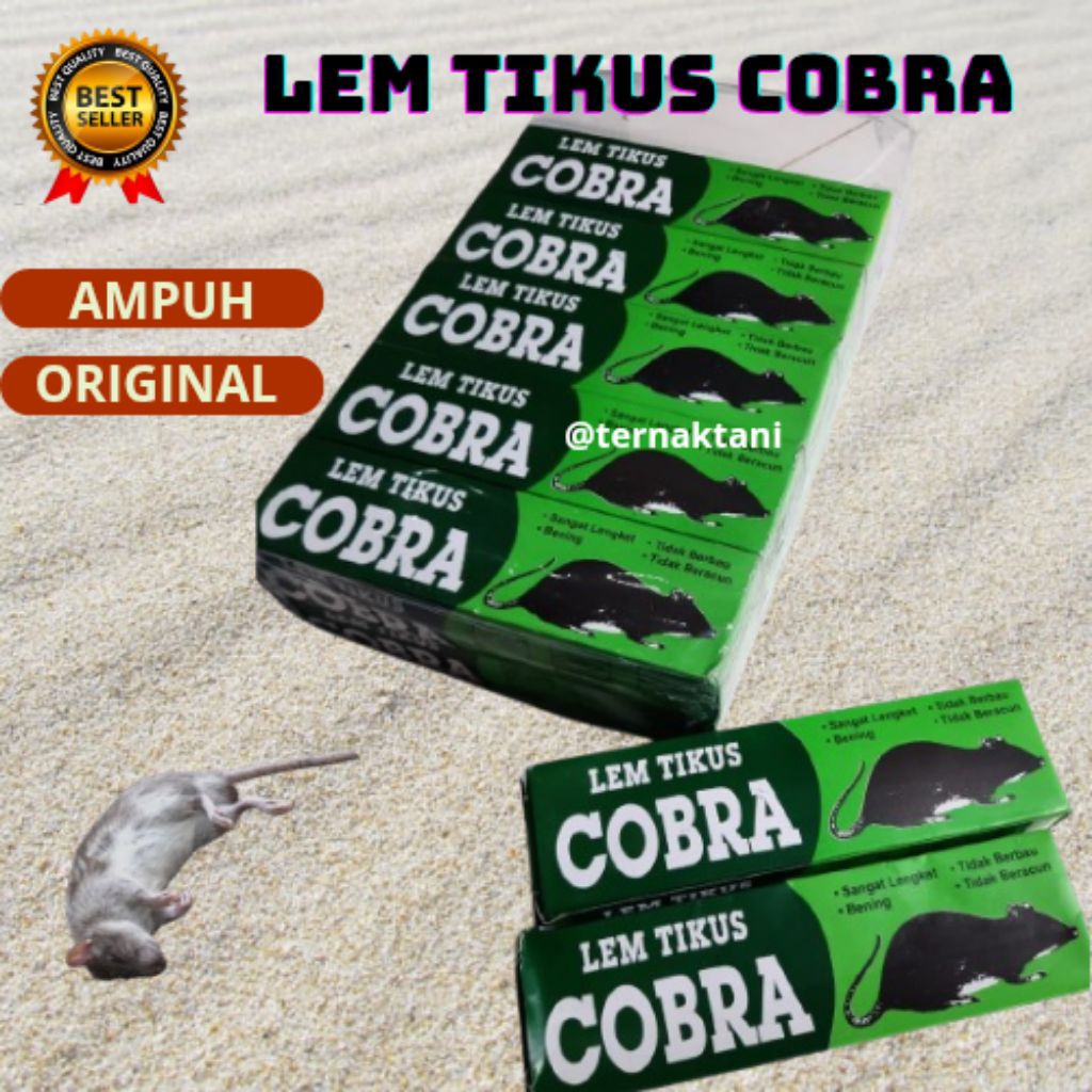 LEM TIKUS COBRA. PERANGKAP TIKUS SUPER LENGKET BENING DAN TAK BERBAU EFEKTIF UNTUK MENJEBAK TIKUS BE