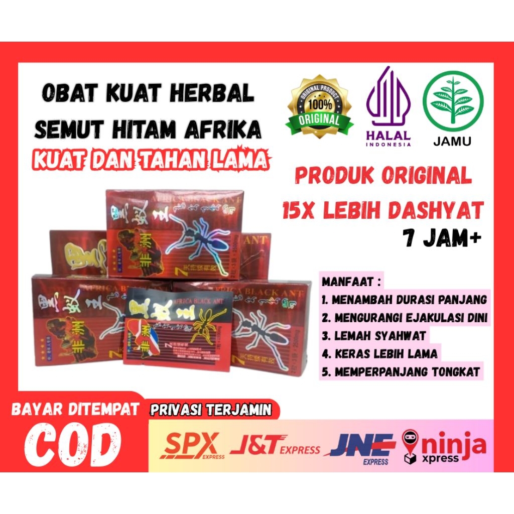 OBATKUAT Semut Hitam Box Blakedop ORIGINAL 9ant Terpercayanya afrika