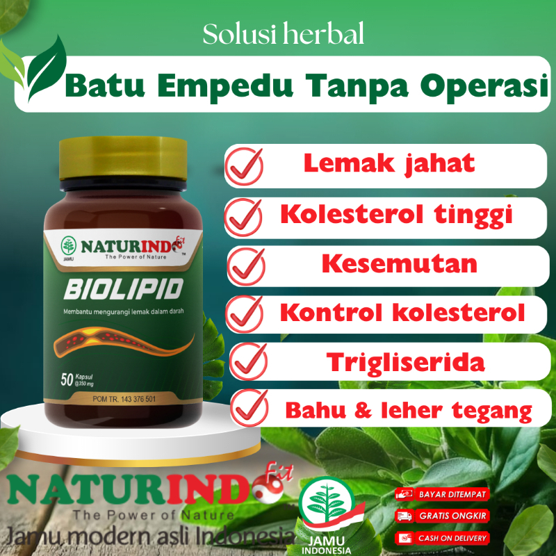Obat Batu Empedu Tanpa Operasi Penghancur& Peluruh Batu Ginjal