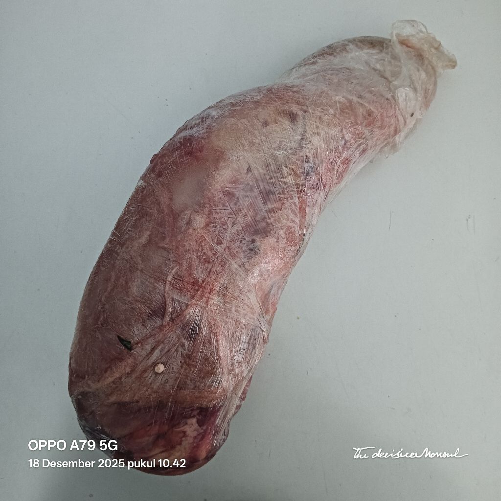 Lidah Sapi Utuh Fresh 2 Kg Halal Lidah Sapi Frozen Premium Beef Tongue