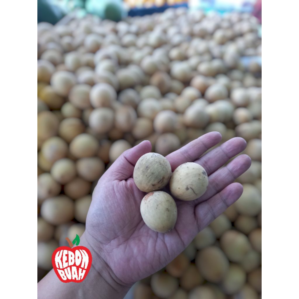 Dukuh Palembang manis 250 gram 500 gram