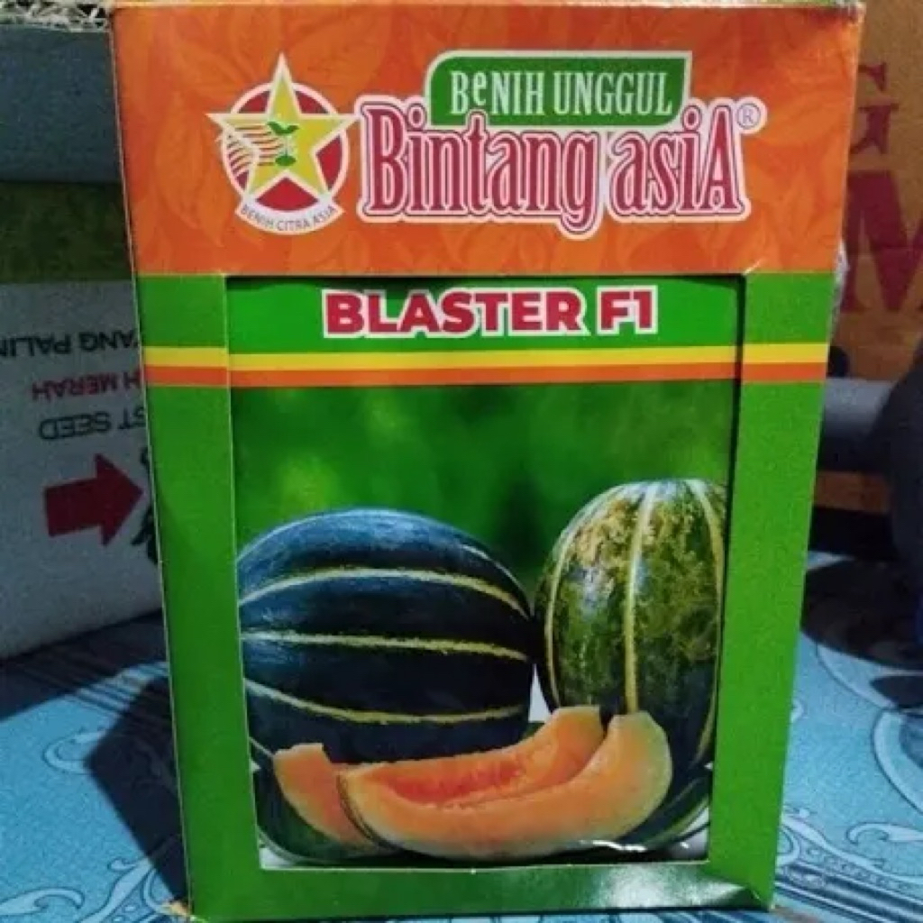 BENIH BLEWAH BLASTER F1 HIBRIDA 15GR