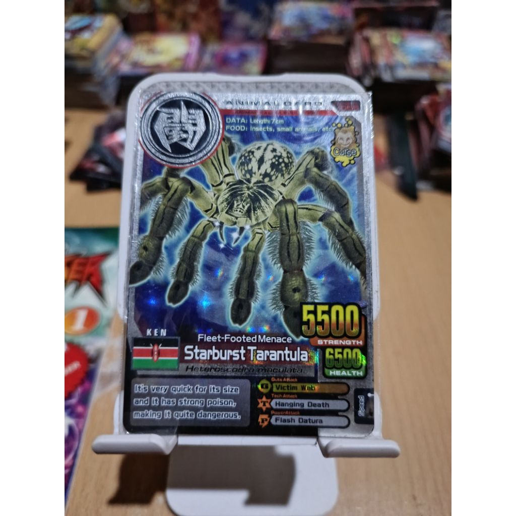 ANIMAL KAISER STARBURST TARANTULA ORIGINAL EVO 8