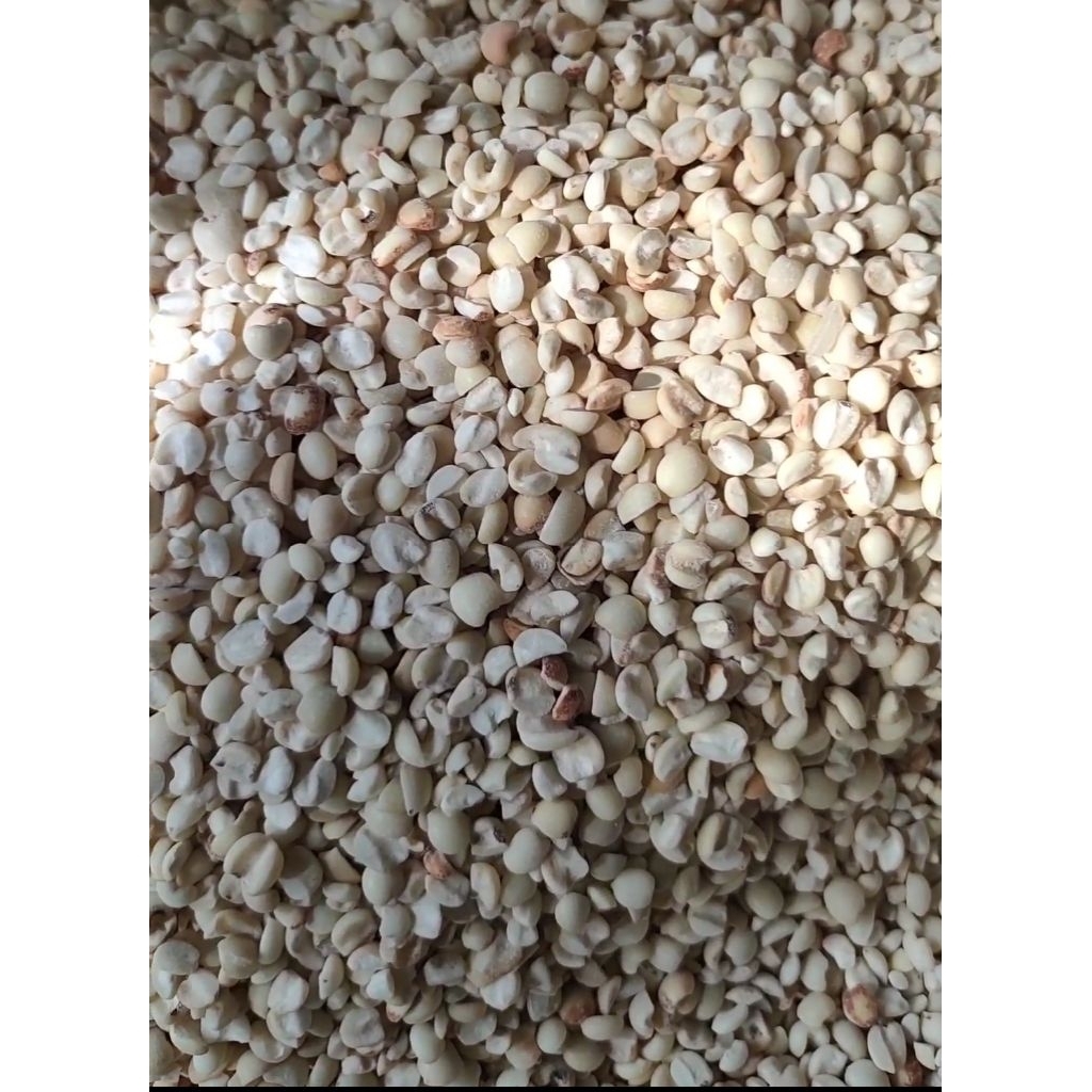 JALI JALI LOKAL/HANJELI KUPAS KULIT 1KG