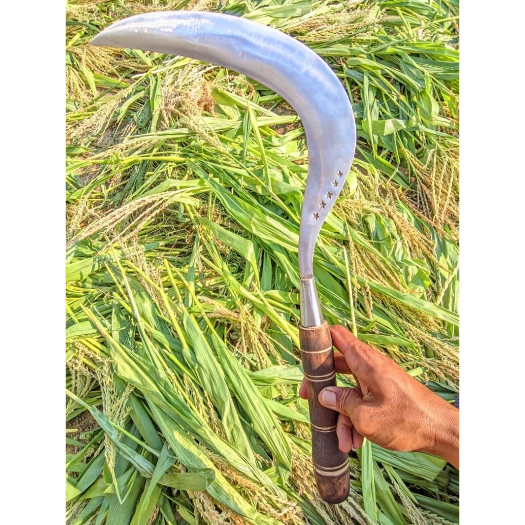 Alat pemangkas rumput arit asli baja khas Madura