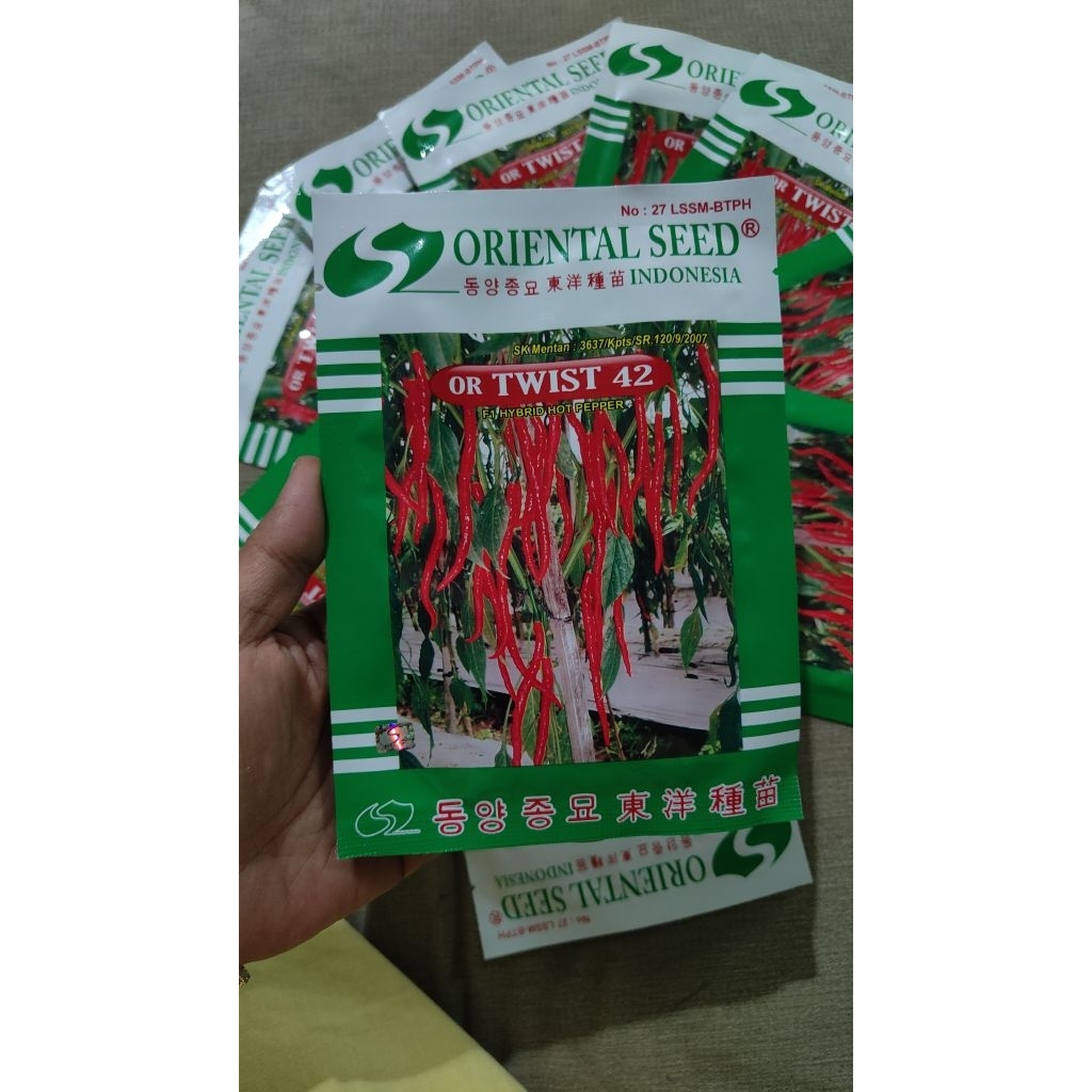Bibit Cabe Keriting OR TWIST 42 ORI  exp.27/10/2027