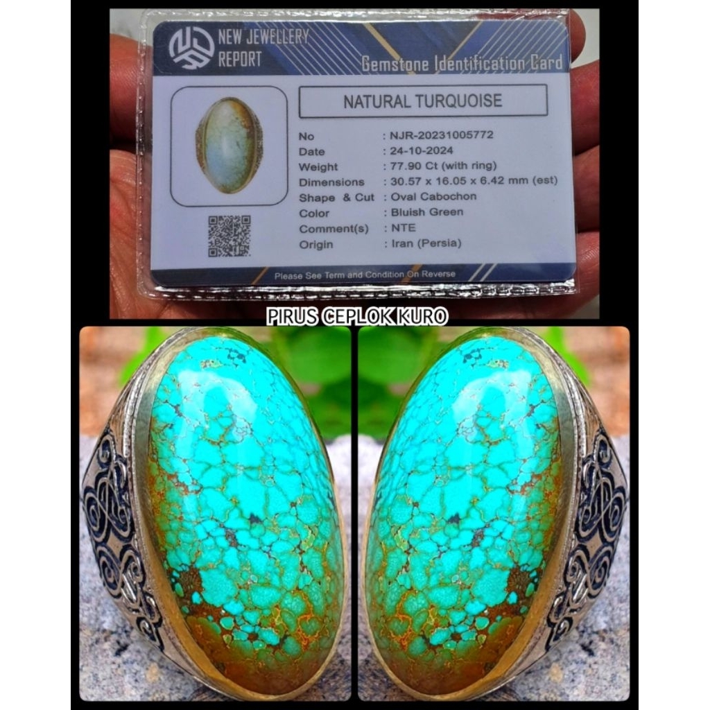 pirus super jumbo asli tambamg iran persia ( gradasian )