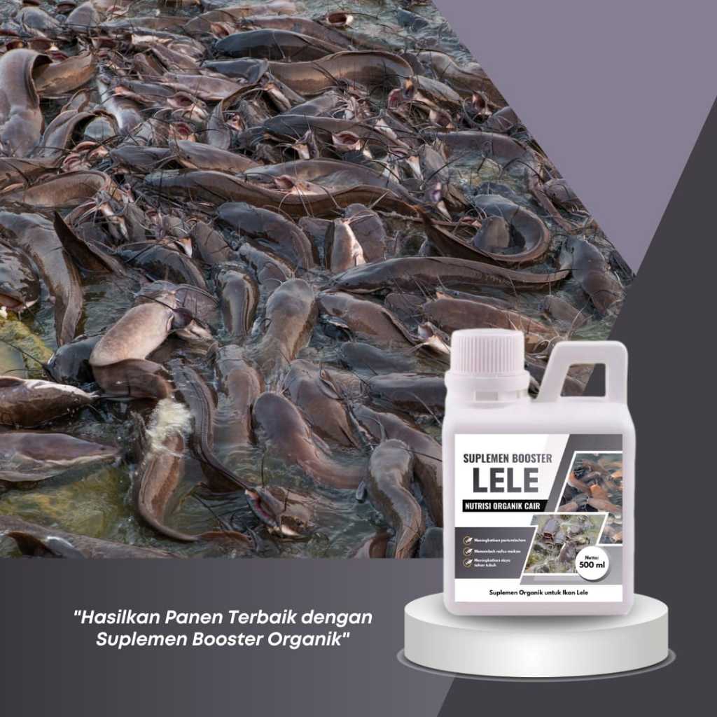 BOOSTER Suplemen Cair Organik Ikan Lele 500ml Meningkatkan Imunitas Menurunkan Amonia