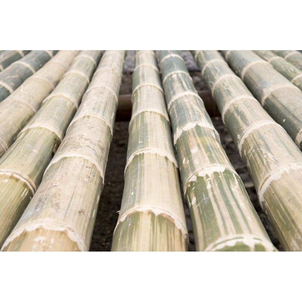 bambu petung/gomong tebel panjang 100cm
