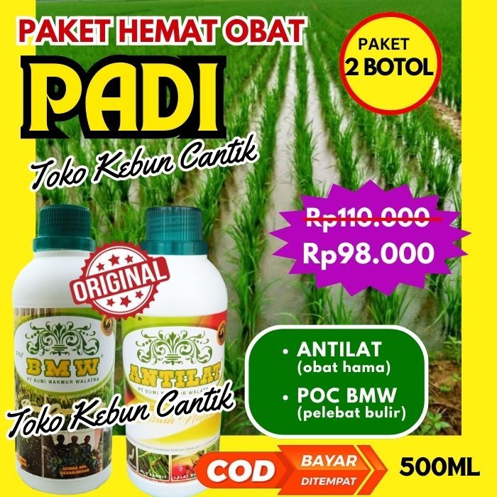 Padi Subur Tanpa Takut Hama Paket Pupuk Organik + Pestisida ANTILAT Efektif Untuk Padi