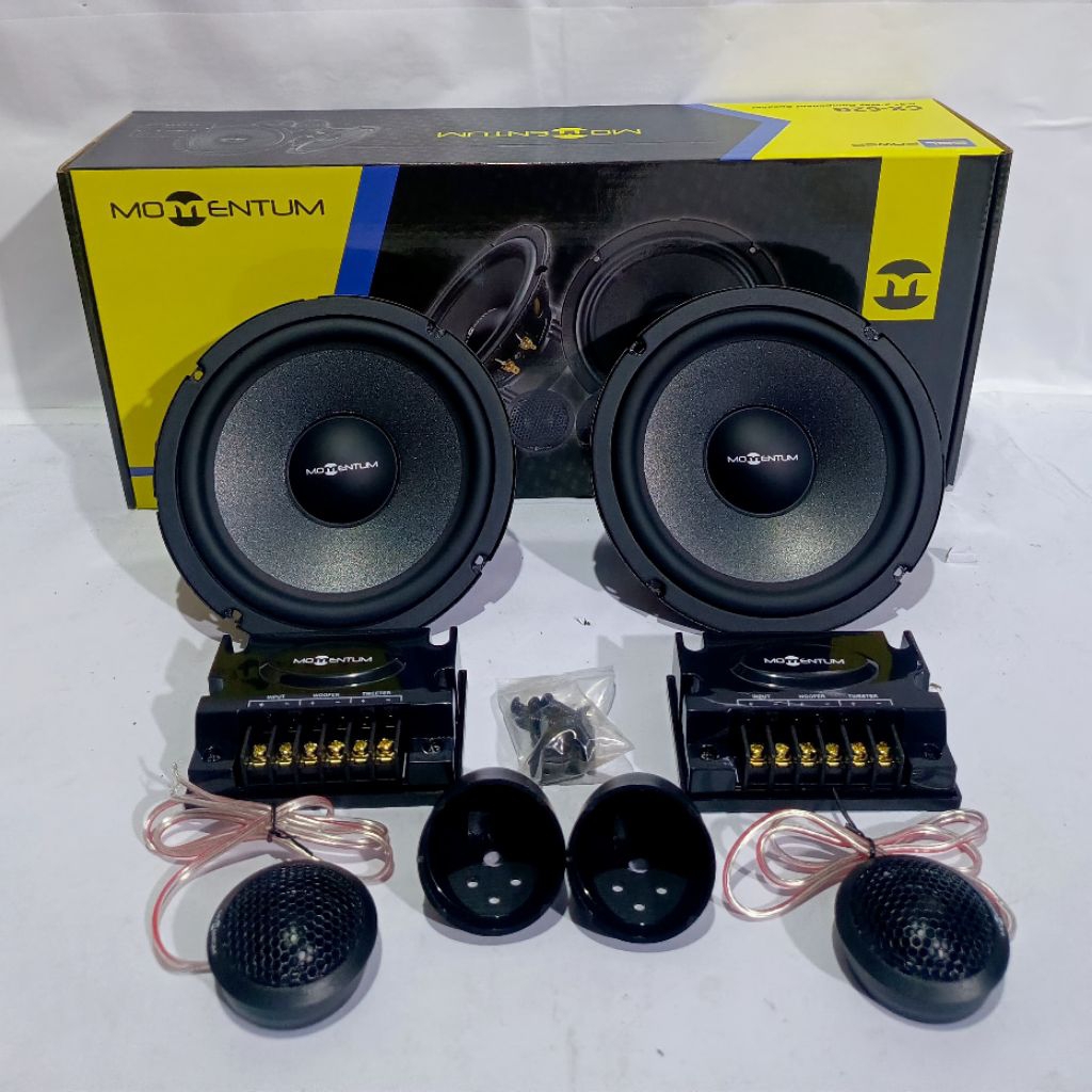 Speaker Momentum CX-62G Split 2 way component