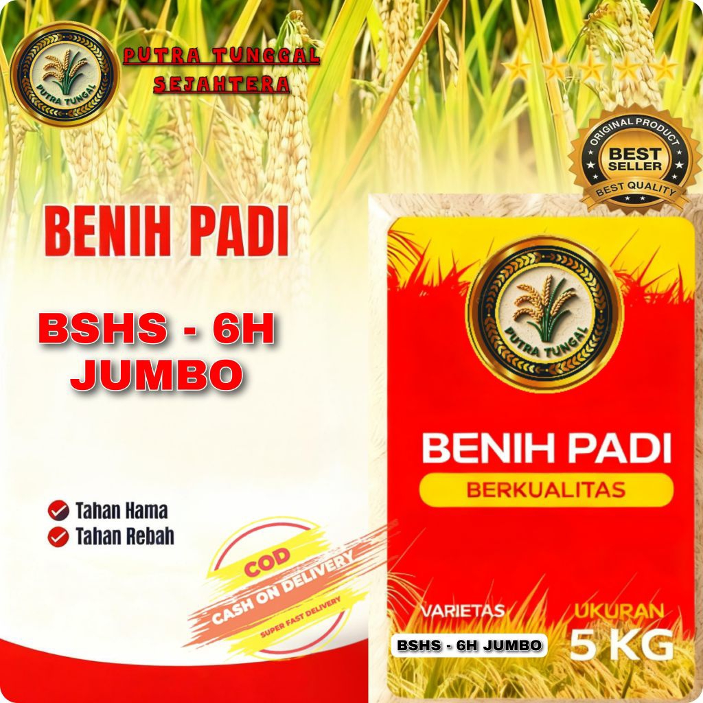 (5KG) Benih Padi HIBRIDA BSHS 6H SUPER Bibit padi unggul yang paling terlaris kulitas super