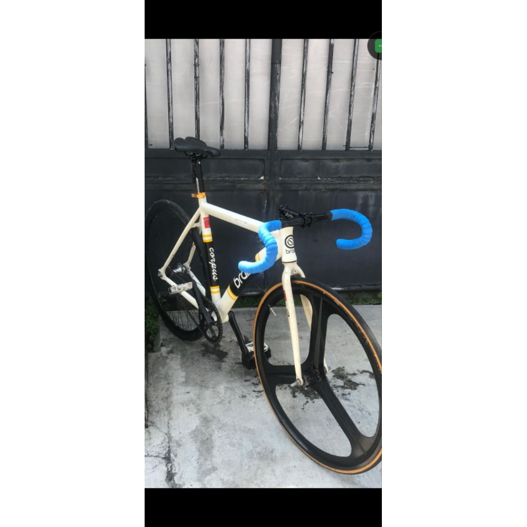 fixie Brain corpus