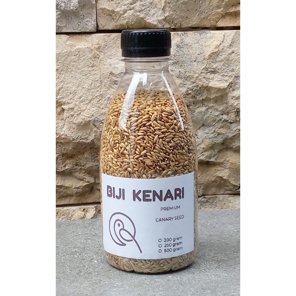 CANARY SEED