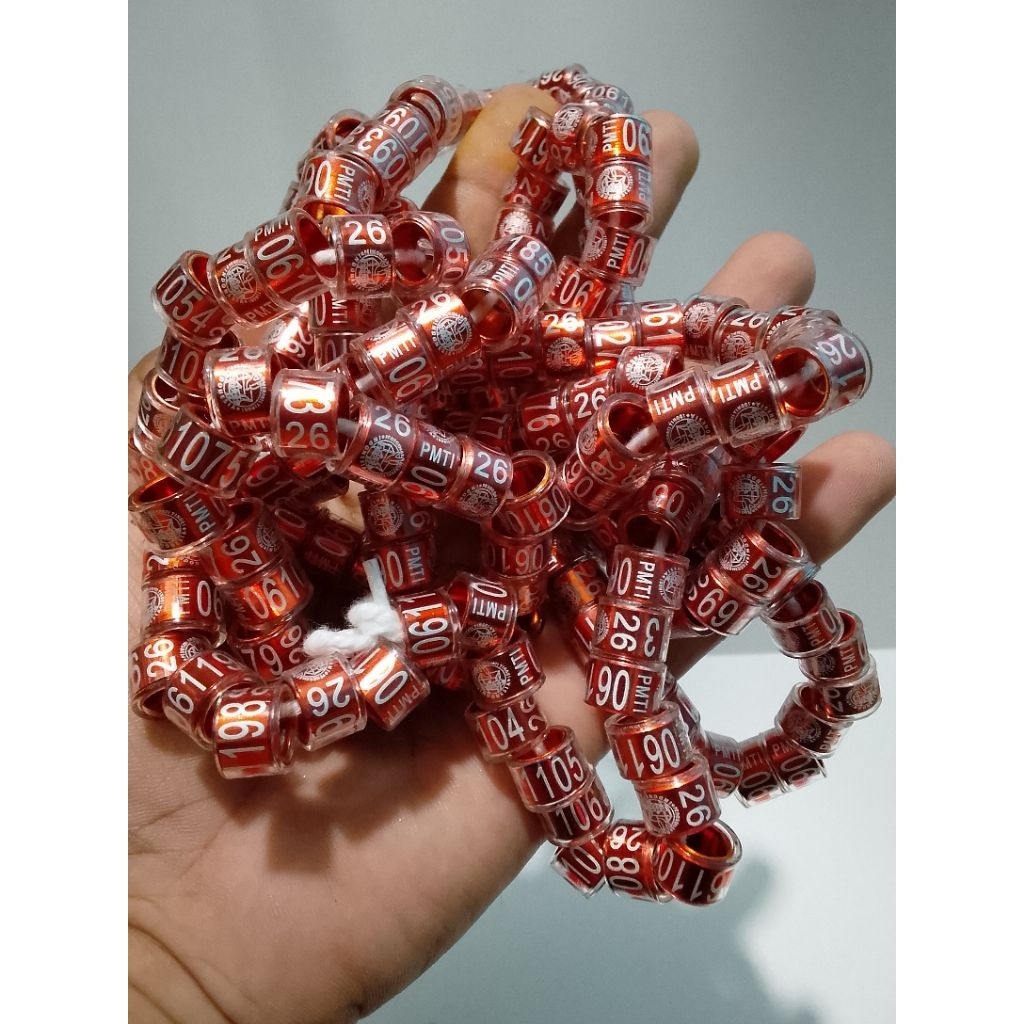 RING PMTI 2026 RESMI PUSAT ORIGINAL