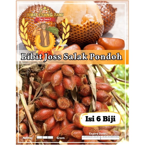 Bibit Joss Salak Pondoh | Biji Benih Salak Pondoh | Salak Pondoh