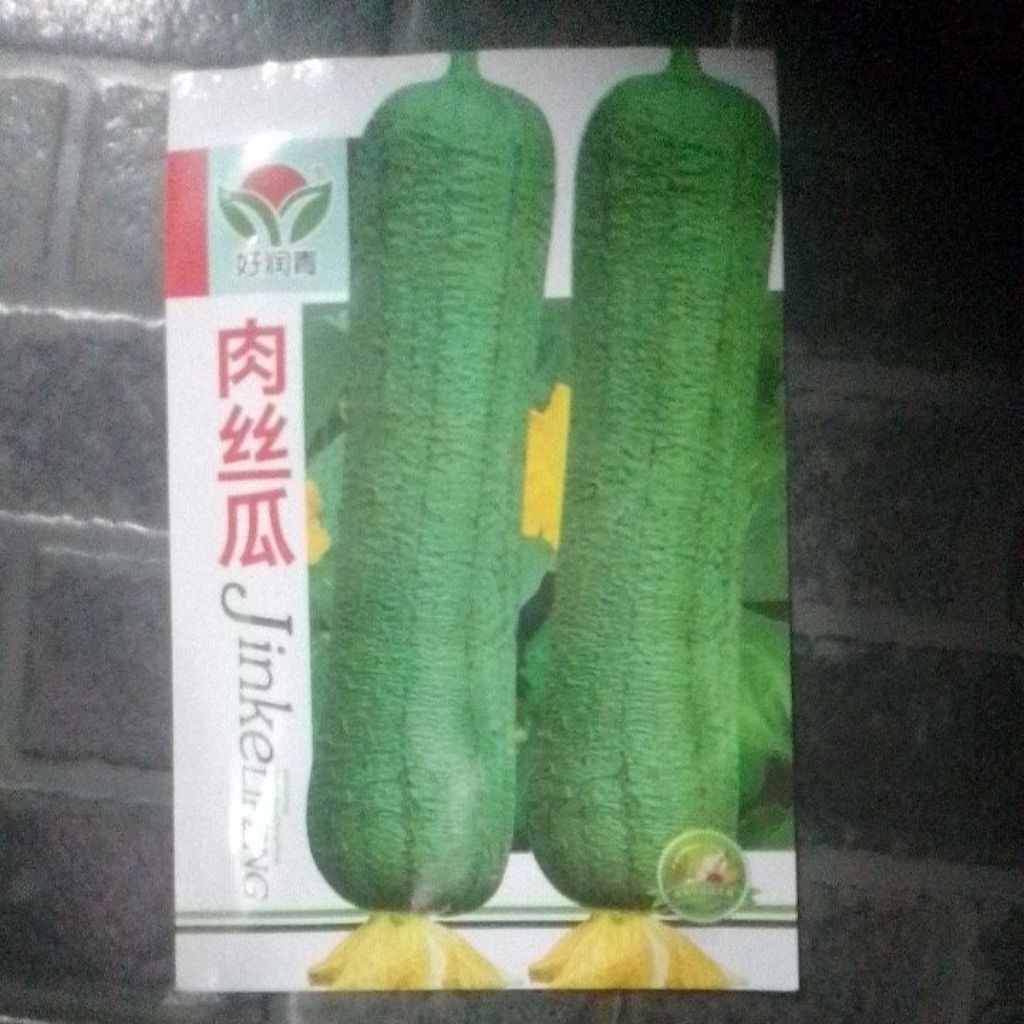 benih blustur panjang / loofah / luffa cylindrica import +-30 butir