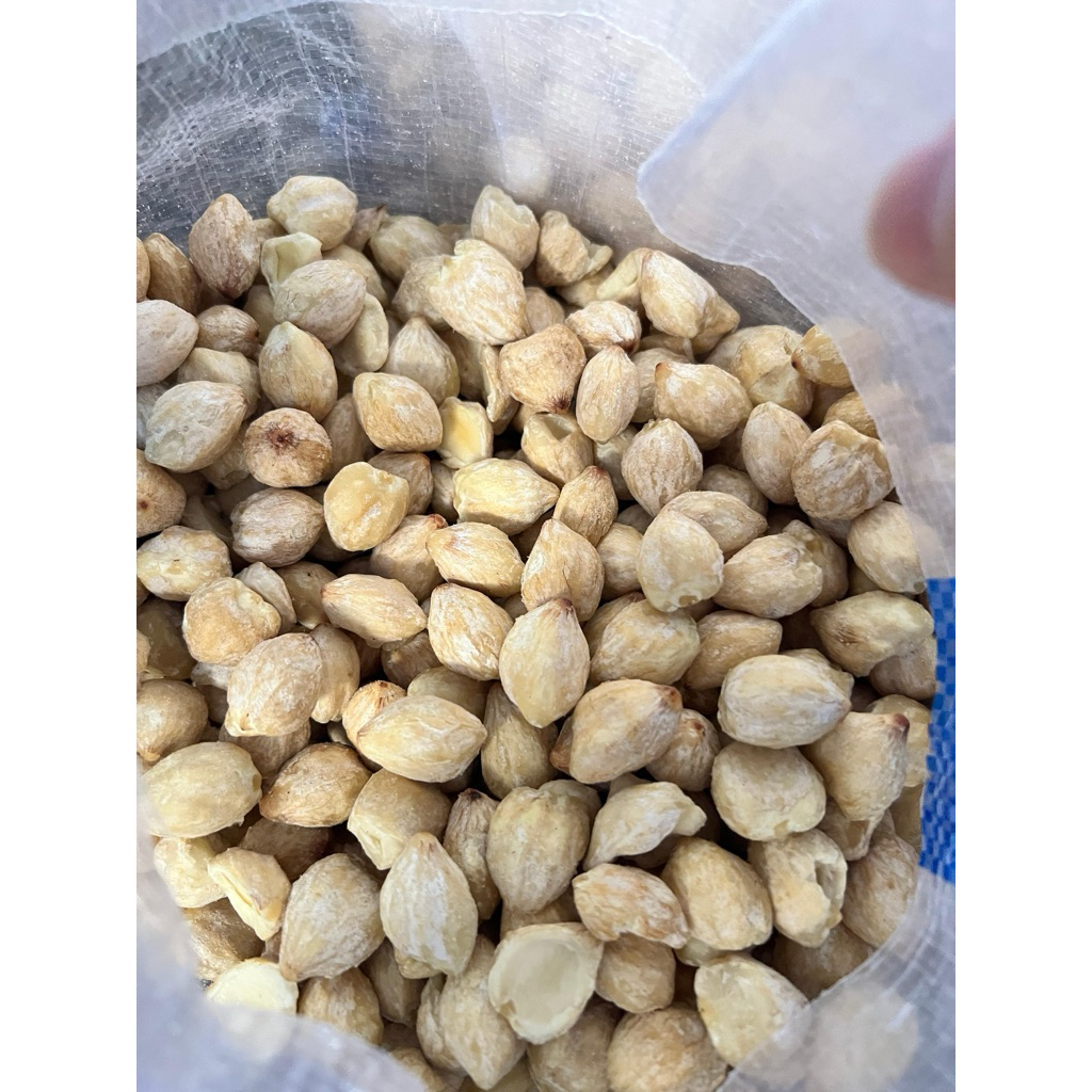 kemiri bulat | kemiri utuh | kemiri putih