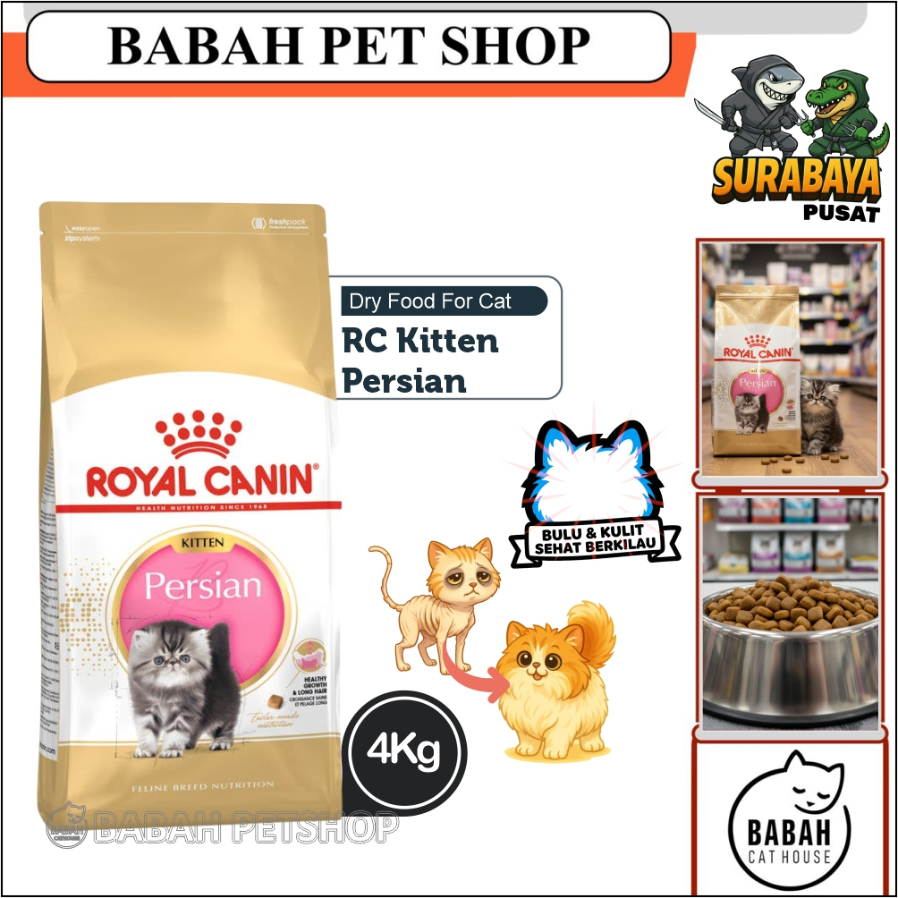 4kg ROYAL CANIN KITTEN PERSIAN cat food rc makanan anak kucing persia untuk bayi anakan persi ras hi