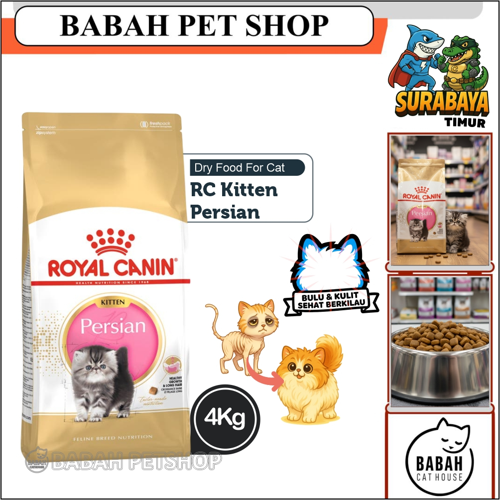 4kg ROYAL CANIN KITTEN PERSIAN cat food rc makanan anak kucing persia untuk bayi anakan persi ras hi
