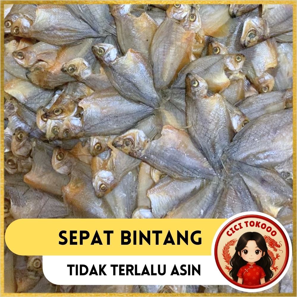 Sepat Bintang | Sepat Kipas | Sepat Bunga | Ikan Sepat | Ikan Asin
