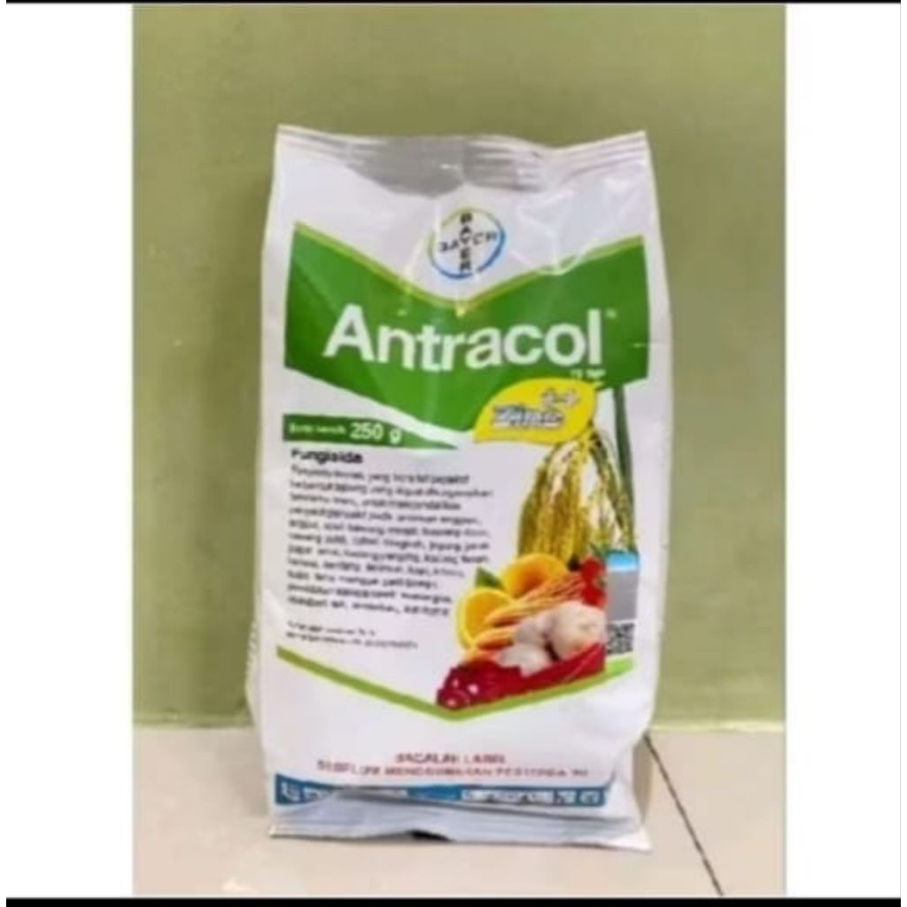 ANTRACOL 70 WP 250 GRAM