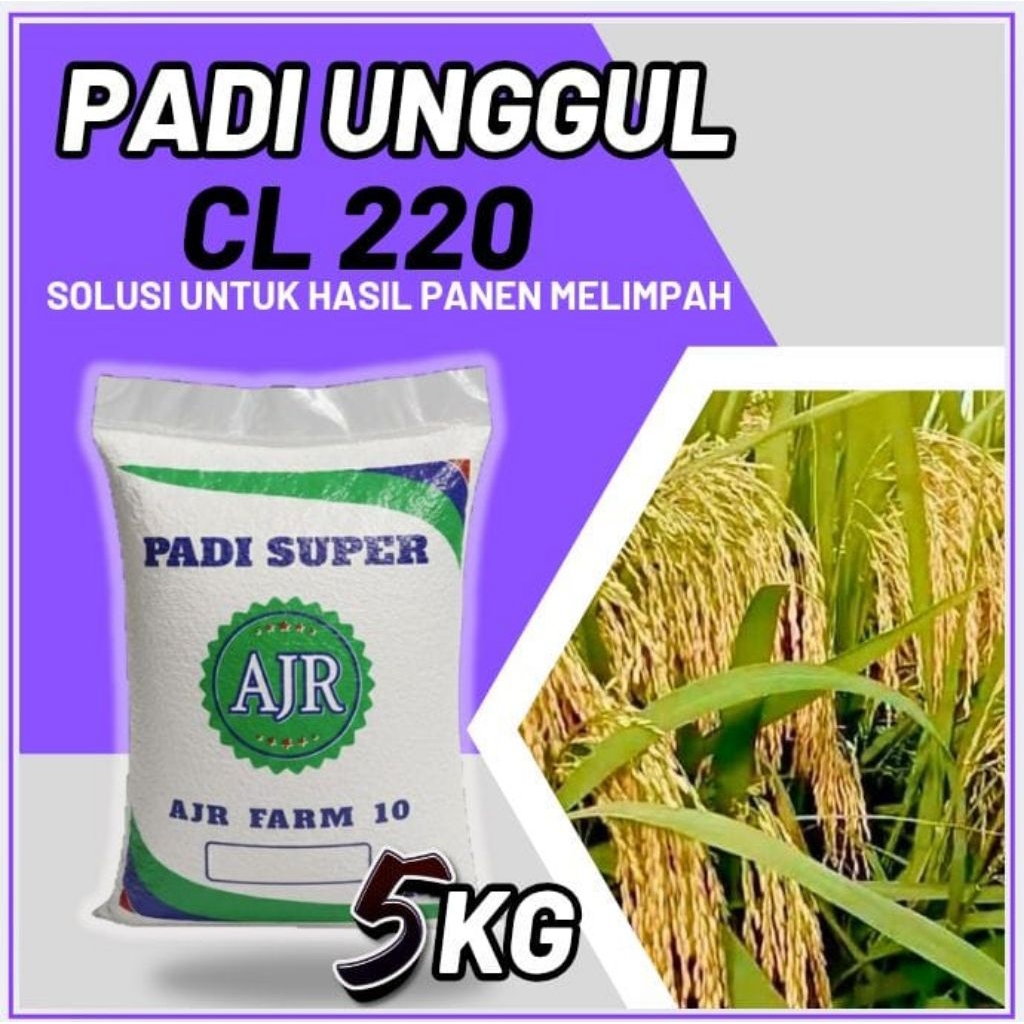 Benih padi unggul CL 220 5Kg