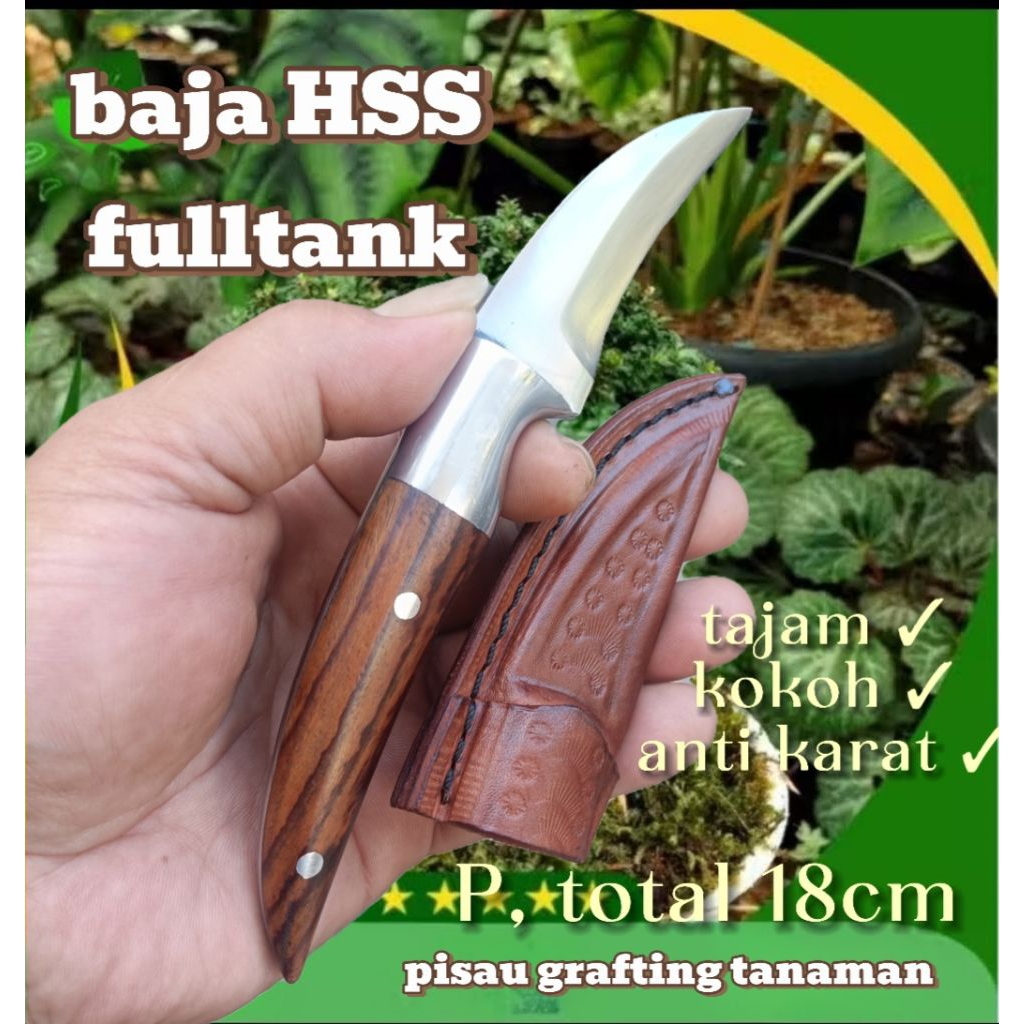 pisau grafting okulasi tanaman / pisau raut / pisau cangkok tanaman / pisau stek kulit / pisau Jalu 