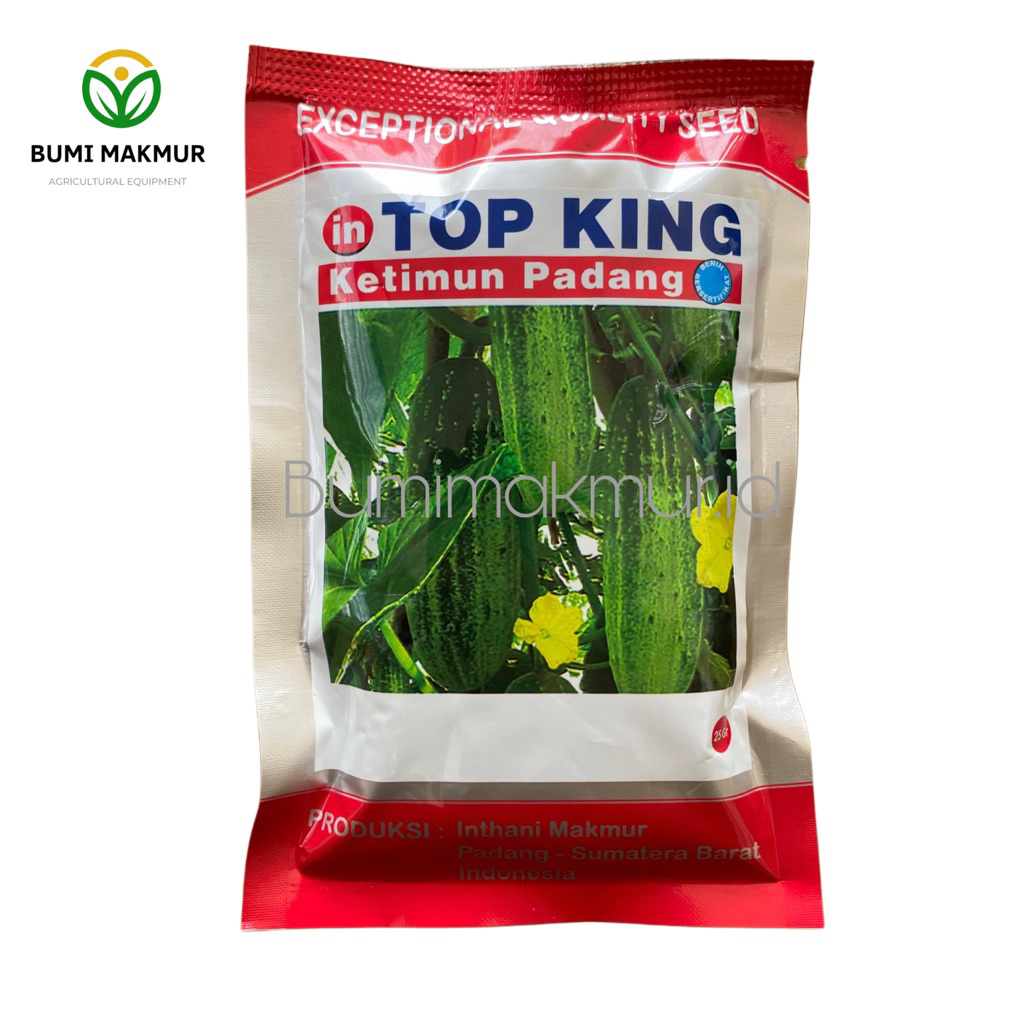 TOP KING KETIMUN PADANG