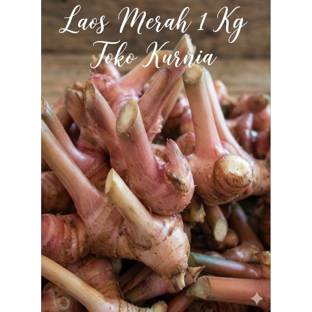 LAOS MERAH 1 KG