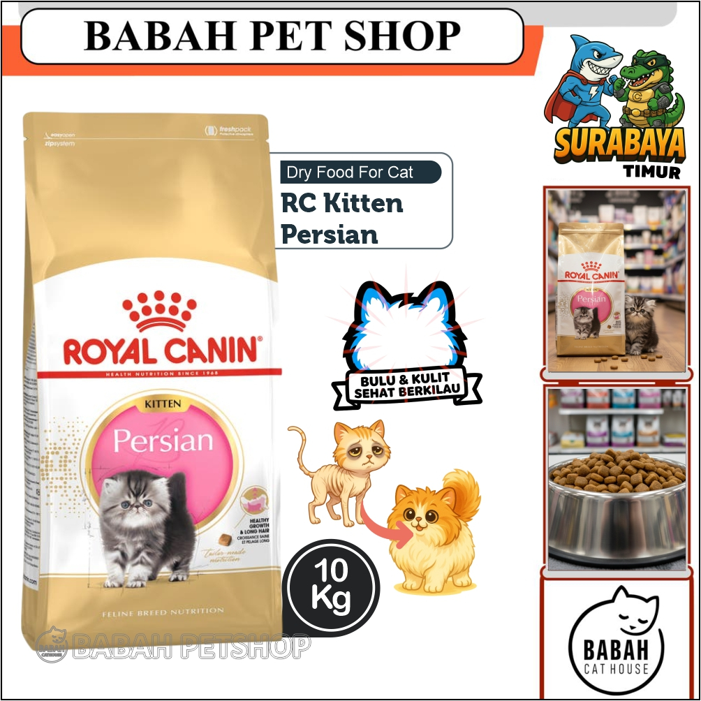 10kg ROYAL CANIN KITTEN PERSIAN cat food rc makanan anak kucing persia untuk bayi anakan persi ras h