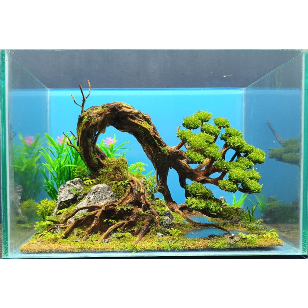 aquascape artifisial sintetis fullset ukuran 30x20x20cm tema bonsai meliuk-liuk gratis exstra packin