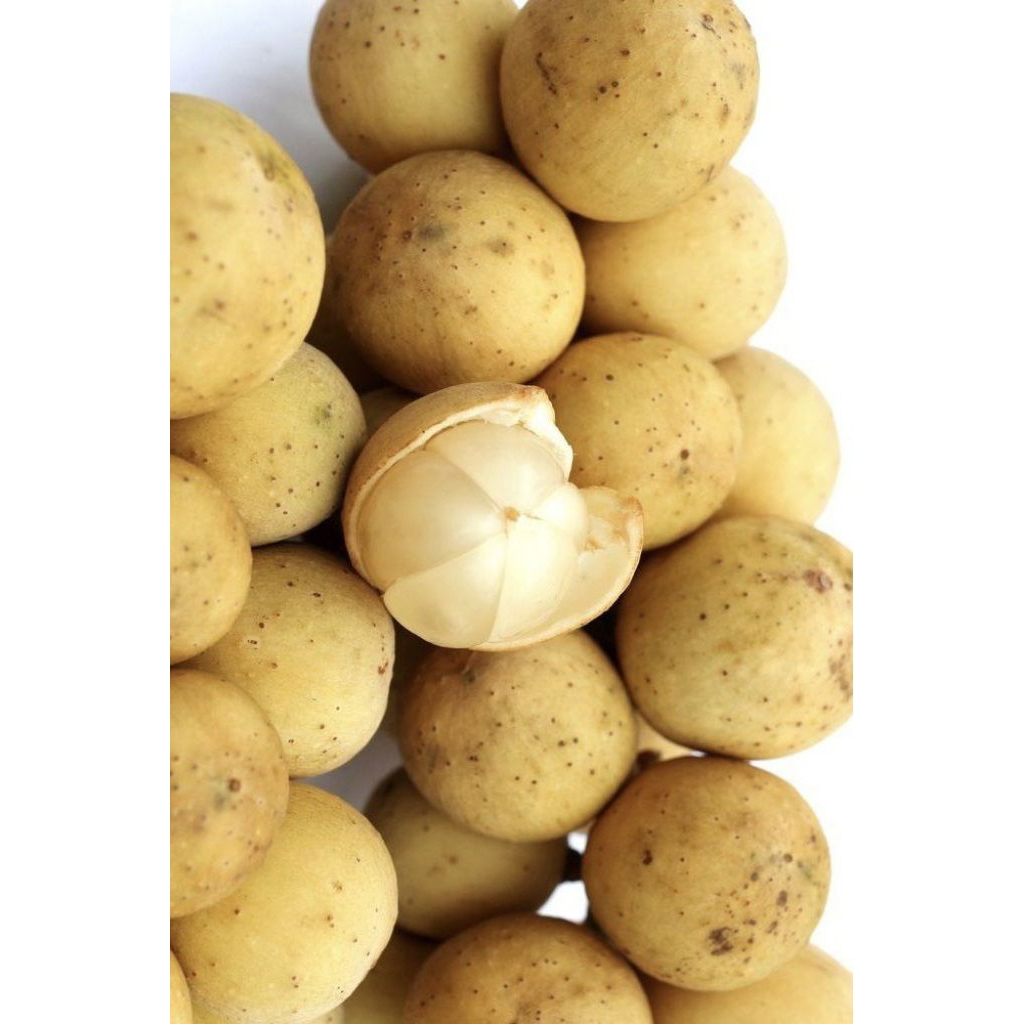 buah dukuh manis 500gr