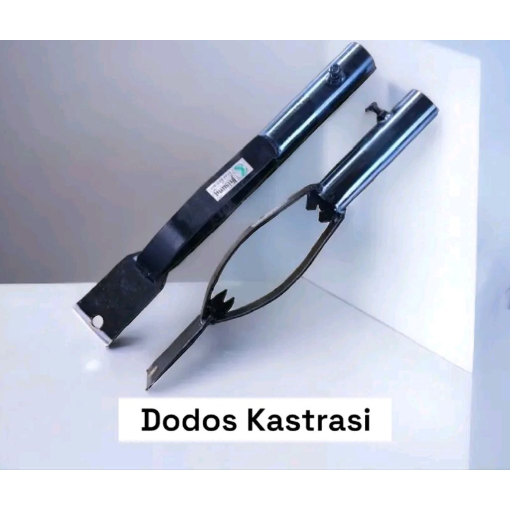 DODOS KASTRASI ATAU BUAH PASIR ALAT PERKEBUNAN SAWIT
