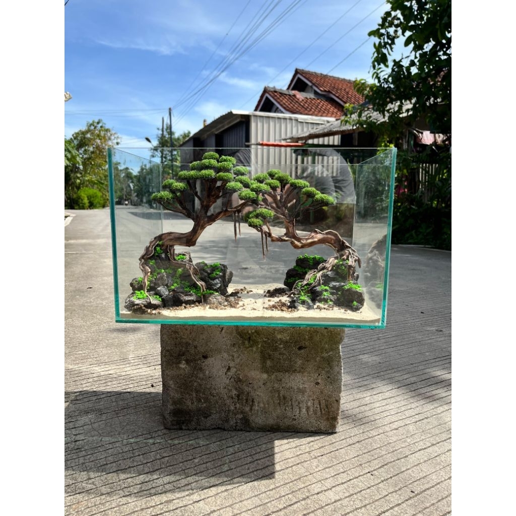Aquascape Dua Bonsai simple FULLSET