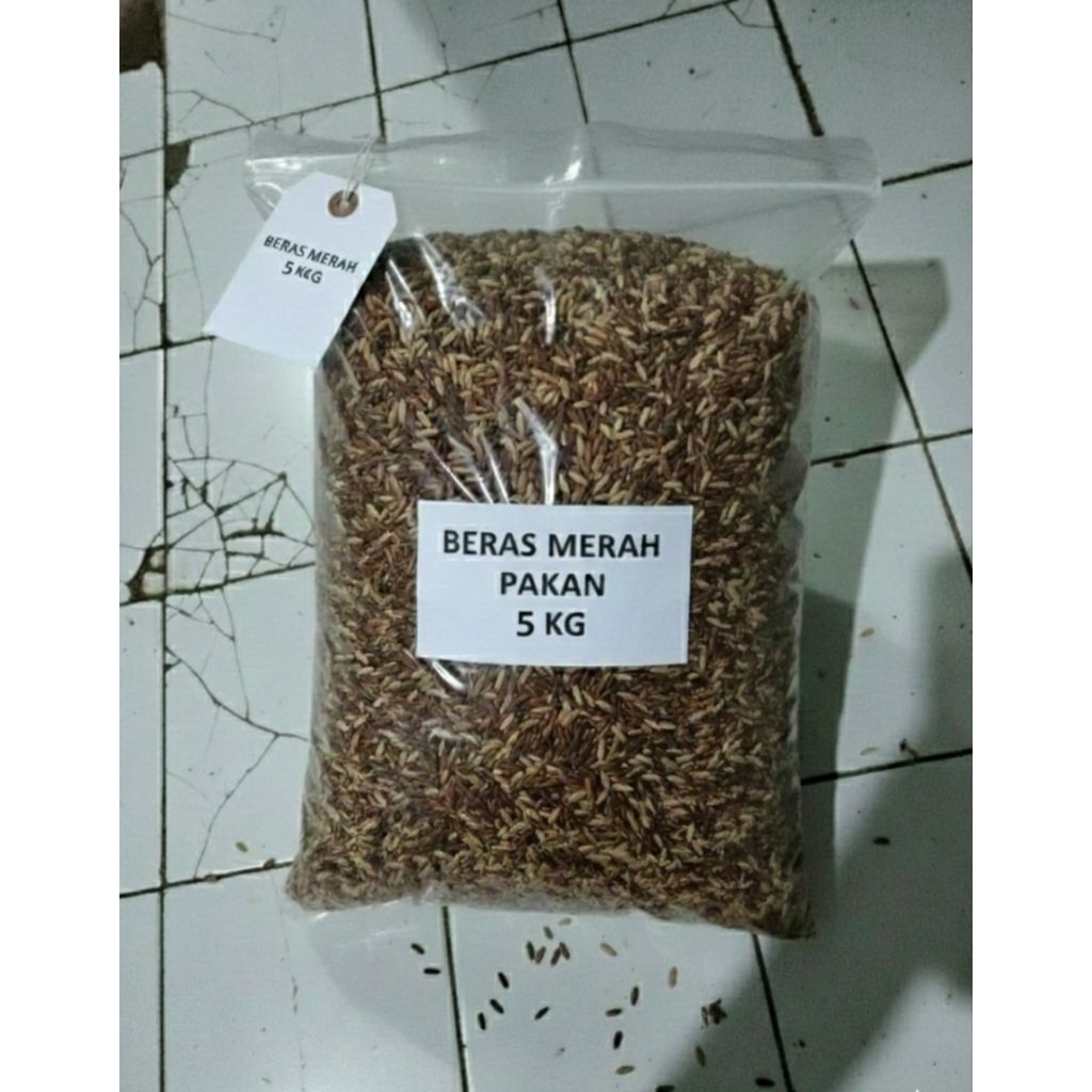pakan 5kg padi beras merah untuk ternak seperti berbagai ayam,unggas,perkutut,merpati dll.