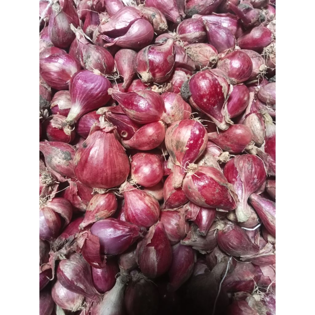 Bawang Merah jawa 1kg, ukuran campur besar sedang
