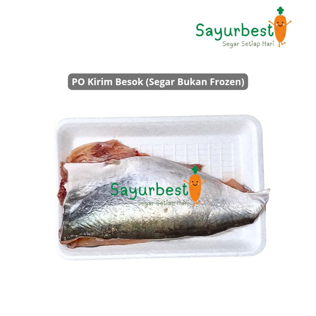 (PO KIRIM BESOK) Ikan Patin Segar Fillet Boneless 100gr-150gr Fresh