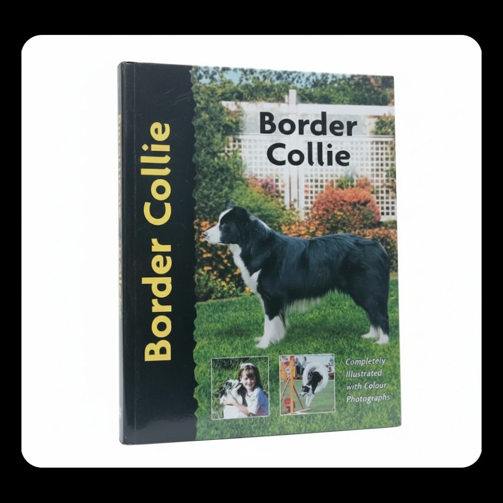 Pet Love: Border Collie