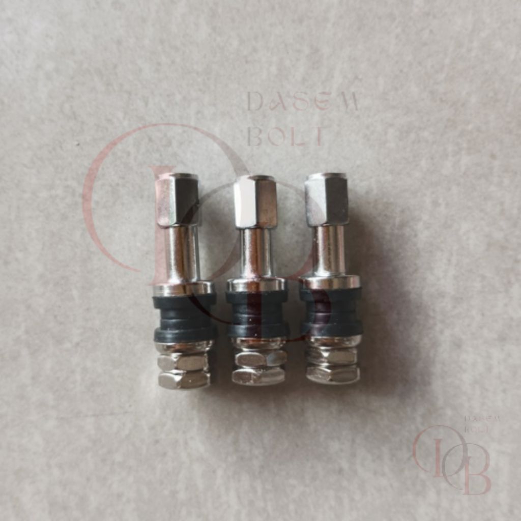 Pentil Tubeless Besi Drat Dalam Stainless Steel - Pentil Ban Tubles Chrome Anti Karat High Quality