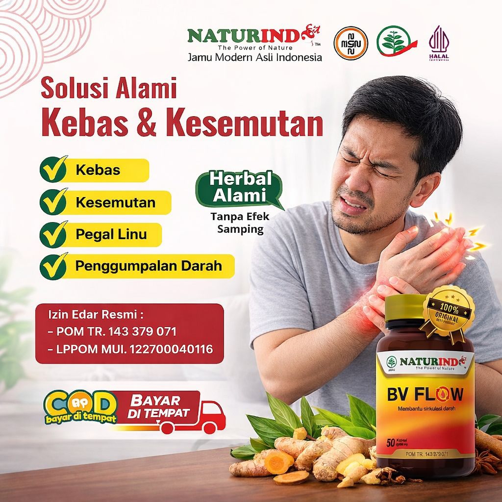 BV Flow Obat Herbal untuk Penyumbatan Pembuluh Darah Obat Penyumbatan Pembuluh Darah