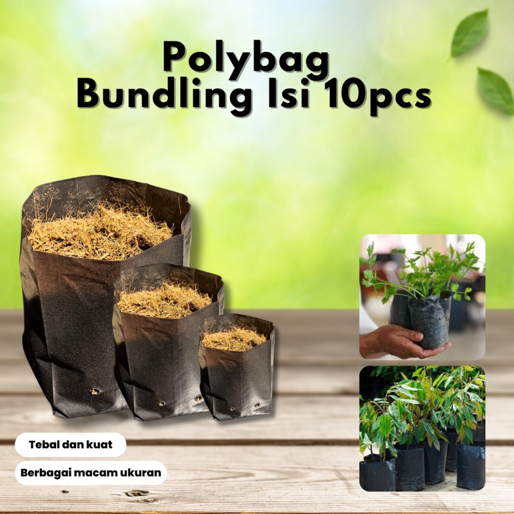 Polybag Paket Bundling Isi 10pcs Ukuran 15 x 15-Paket Isi 10pcs Polybag 15 x 15-Polybag Isi 10pcs Uk