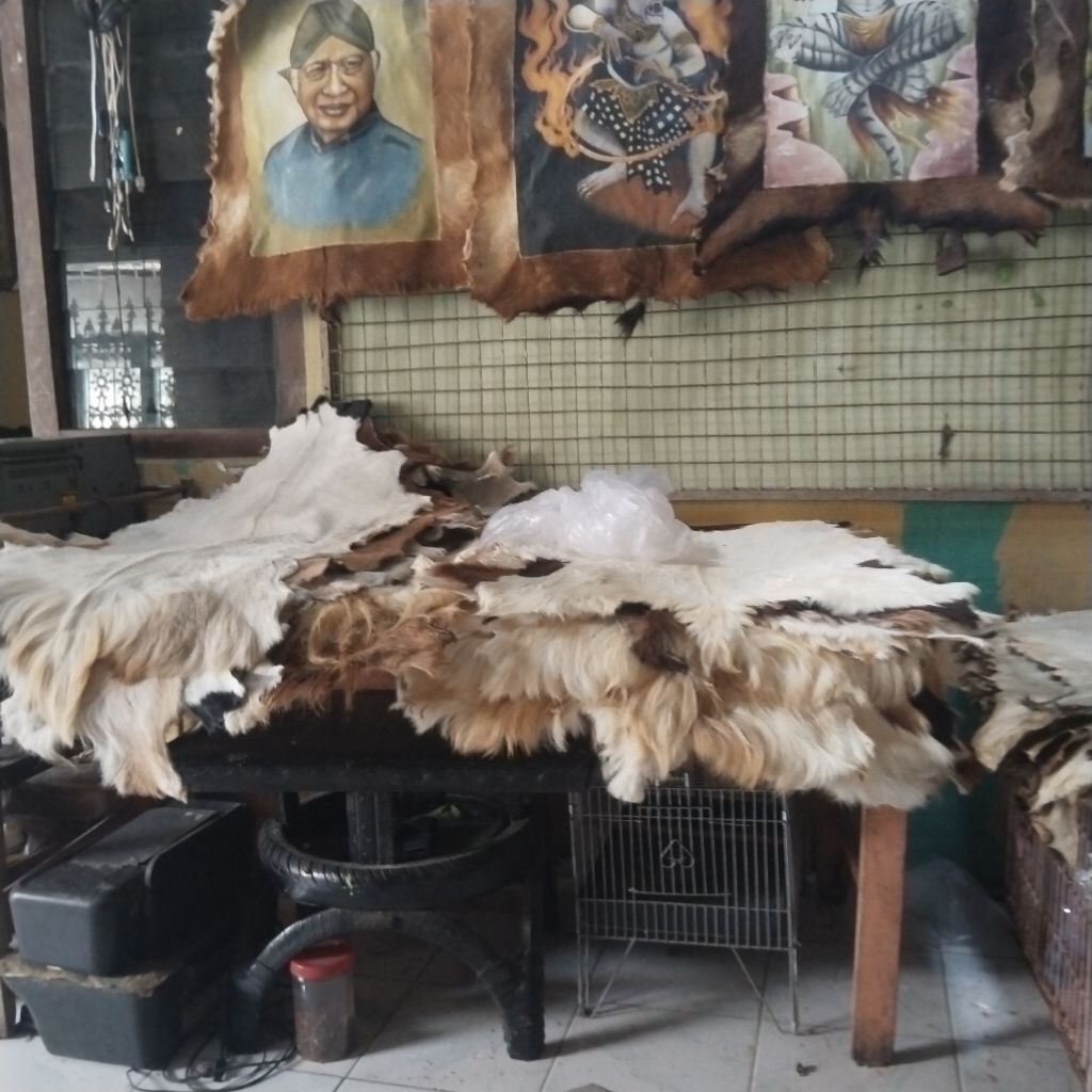 lukisan anoman besar 80x100cm