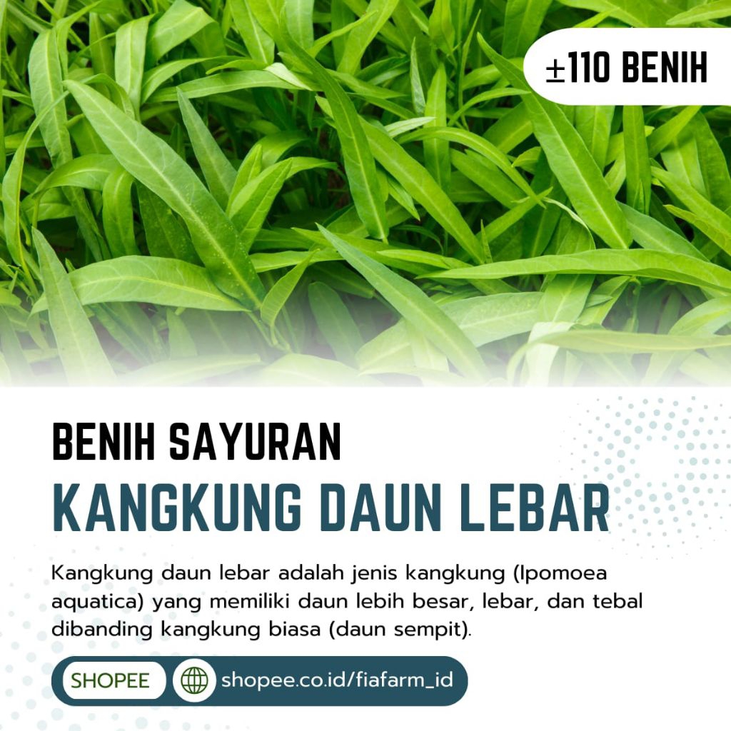 Benih Sayuran - Benih Kangkung | ±110 benih | Daun Lebar | Repack